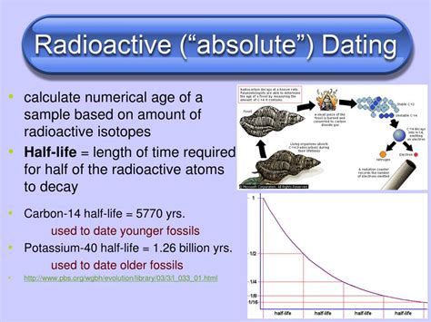 why do scientists use radiometric dating of lunar rocks to determine the age of the earth